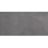 Mexen Evolution Gris plăci de gresie glazurate rekt. G1, placă pentru podea și perete 120 x 60 cm, carving - TL437-120-060-02