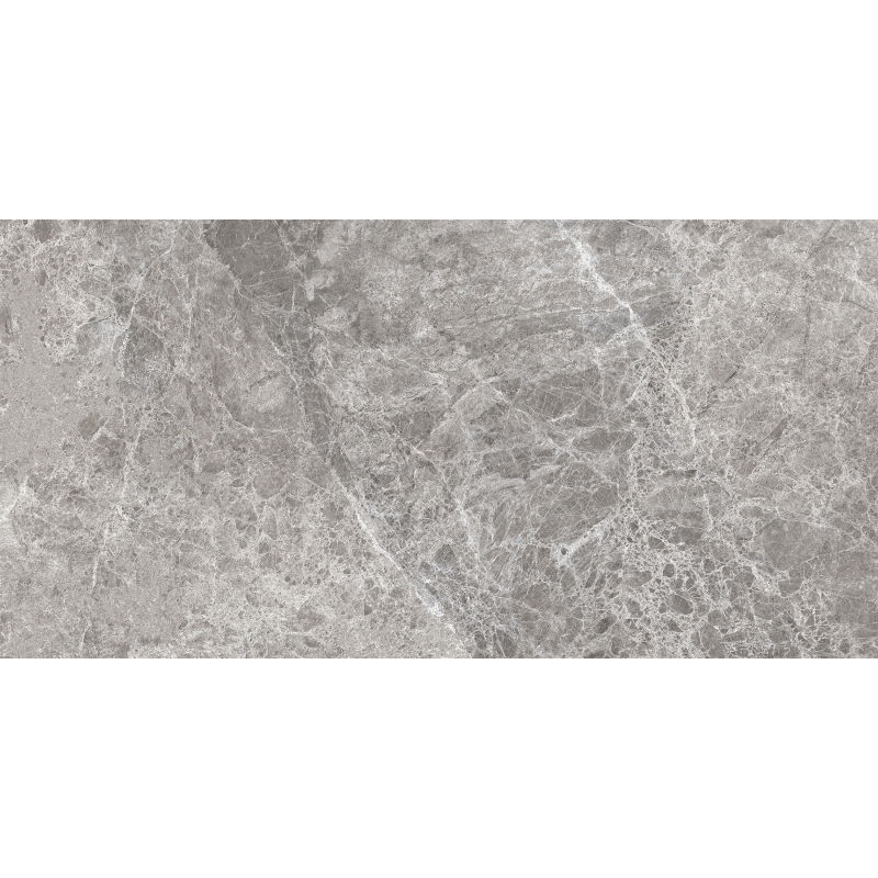 Mexen Lizard Grey gres smălțuit rectificat G1, placă de podea-perete 120 x 60 cm, lucios - TL109-120-060-02