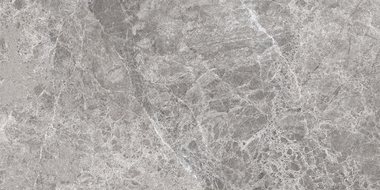 Mexen Lizard Grey gres smălțuit rectificat G1, placă de podea-perete 120 x 60 cm, lucios - TL109-120-060-02
