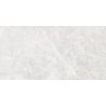 Mexen Lizard Silver mázas gres rektifikált G1, padló- és falburkoló lap 120 x 60 cm, fényes - TL109-120-060-03