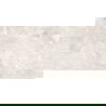 Mexen Tubac Gris gres glazurat rectificat G1, placă de podea-perete 120 x 60 cm, lucios - TL118-120-060-04