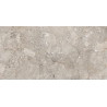 Mexen Artistic Gris placă glazurată rectificată G1, plăci de pardoseală-și-perete 120 x 60 cm, lucios - TL121-120-060-00