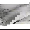 Mexen Lunar uși de duș batante dreapta 115 cm, transparent, auriu - 834-115-000-50-00-P