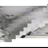Mexen Lunar uși de duș batante dreapta 85 cm, transparent, aurii periate - 834-085-000-55-00-P