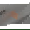 Mexen Lunar uși de duș cu deschidere dreaptă 100 cm, transparent, aur roz - 834-100-000-60-00-P