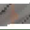 Mexen Lunar uși de duș cu deschidere dreaptă 100 cm, transparent, aur roz - 834-100-000-60-00-P