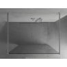 Mexen Kioto perete de duș de sine stătător 130 x 200 cm, transparent 8 mm, Crom - 800-130-002-01-00