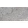Mexen Tens Grey, mázas rek. G1 padlólap 120 x 60 cm, fényes - TL148-120-060-01