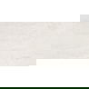 Mexen Homes Bianco fényes mázas rekt. G1 padló- és fali csempe 120 x 60 cm, fényes - TL151-120-060-00