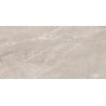 Mexen Homes Pearl gres glazurat rectificat. G1, placă pentru pardoseală și perete 120 x 60 cm, lucios - TL151-120-060-04