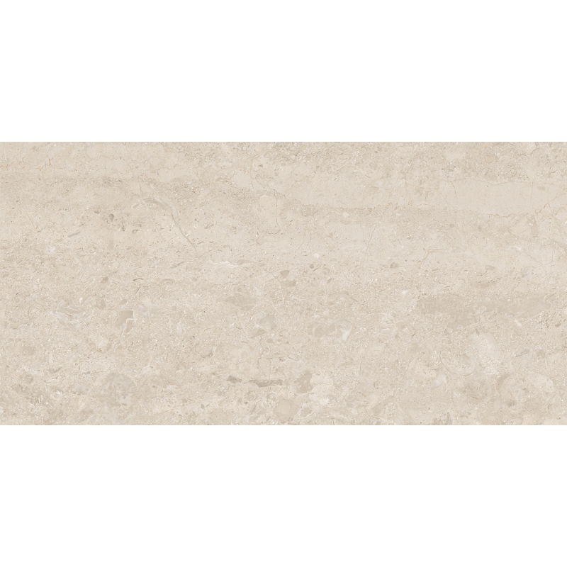 Gres glazurat rectificat Mexen Dayno Classic, placa pentru podea și perete 120 x 60 cm, lucios - TL166-120-060-01