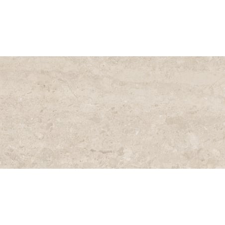 Gres glazurat rectificat Mexen Dayno Classic, placa pentru podea și perete 120 x 60 cm, lucios - TL166-120-060-01