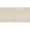 Gres glazurat rectificat Mexen Dayno Classic, placa pentru podea și perete 120 x 60 cm, lucios - TL166-120-060-01
