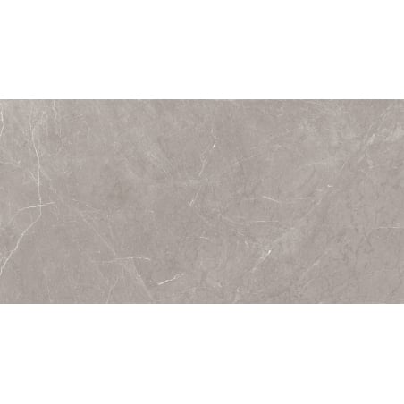 Mexen Gloster Gri Deschis, gresie glazurată rectificată G1, placă pardoseală-perete 120 x 60 cm, lucioasă - TL172-120-060-04