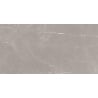 Mexen Gloster Gri Deschis, gresie glazurată rectificată G1, placă pardoseală-perete 120 x 60 cm, lucioasă - TL172-120-060-04