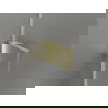 Ușă de duș dreaptă Mexen Lunar-B, 75 cm, transparentă, aurie periată - 832-075-000-55-00-P