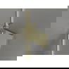 Mexen Lunar-F ușă de duș pliabilă dreapta 100 cm, transparent, auriu - 836-100-000-50-00-P