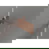 Mexen Lunar-F ușă de duș pliabilă dreapta 100 cm, transparentă, aur roz - 836-100-000-60-00-P