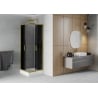 Mexen Rio cabină de duș pătrată 70 x 70 cm, grafit, auriu + cadă de duș Rio, alb - 860-070-070-50-40-4510