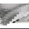 Mexen Lunar L ușă de duș batantă dreaptă 105 cm, transparent, nichel periat - 834L-105-000-97-00-P