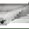 Mexen Lunar-B ușă de duș cu deschidere spre stânga 115 cm, transparentă, albă - 832S-115-050-20-00-L
