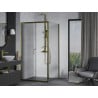 Mexen Apia cabină de duș extensibilă 100 x 100 cm, transparent, Aurie - 840-100-100-50-00