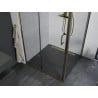 Mexen Apia cabină de duș extensibilă 100 x 100 cm, transparent, Aurie - 840-100-100-50-00