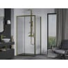 Mexen Apia cabină de duș extensibilă 110 x 90 cm, transparent, Aurie - 840-110-090-50-00