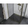 Mexen Apia cabină de duș extensibilă 110 x 90 cm, transparent, Aurie - 840-110-090-50-00