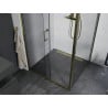 Mexen Apia cabină de duș extensibilă 110 x 90 cm, transparent, Aurie - 840-110-090-50-00