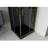 Mexen Rio cabină de duș pătrată 70 x 70 cm, grafit, auriu + vas colector Flat, negru - 860-070-070-50-40-4070G