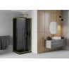 Mexen Rio cabină de duș pătrată 70 x 70 cm, grafit, auriu + vas colector Flat, negru - 860-070-070-50-40-4070G