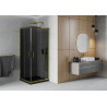 Mexen Rio cabina de duș pătrată 70 x 70 cm, grafit, aurie + cadă Flat, negru - 860-070-070-50-40-4070G