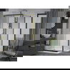 Mexen Apia cabină de duș extensibilă 100 x 100 cm, transparent, Aurie + cadă de duș Flat, Albă- 840-100-100-50-00-4010G
