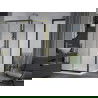 Mexen Apia cabină de duș extensibilă 100 x 100 cm, transparent, Aurie + cadă de duș Flat, Albă- 840-100-100-50-00-4010G