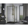 Mexen Apia cabină de duș culisantă 100 x 80 cm, transparentă, auriu + cadă plată, negru - 840-100-080-50-00-4070G