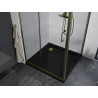 Mexen Apia cabină de duș glisantă 100 x 100 cm, transparentă, aurie + cadă Flat, neagră - 840-100-100-50-00-4070G