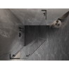 Mexen Lunar L szögletes balos nyíló zuhanykabin 90x100 cm, átlátszó, pisztolyszürke kefélt - 831L-090L-100P-66-00-L