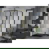 Mexen Apia cabină de duș extensibilă 140 x 100 cm, transparent, Aurie + cadă de duș Flat, Neagră - 840-140-100-50-00-4070G