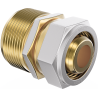 Mexen PEX-S menetes redukció PEX 20 x 3/4 GZ - W97223-2034M-00