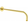 Mexen 40 cm-es arany fali zuhanykar - 79211-50