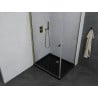 Mexen Pretoria cabină de duș cu balamale 80 x 70 cm, Transparent, aurie + cadă pentru duș Flat, Neagră - 852-080-070-50-00-4070G