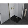 Mexen Pretoria cabină de duș cu balamale 80 x 70 cm, Transparent, aurie + cadă pentru duș Flat, Neagră - 852-080-070-50-00-4070G