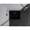 Mexen Pretoria cabină de duș cu deschidere pivotantă 100 x 80 cm, transparentă, auriu + cadă de duș Flat, negru - 852-100-080-5?