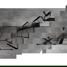 Mexen Mist Duo cabină de duș pivotantă 100 x 80 cm, grilaj negru, negru - 8A4-100L-080P-70-77