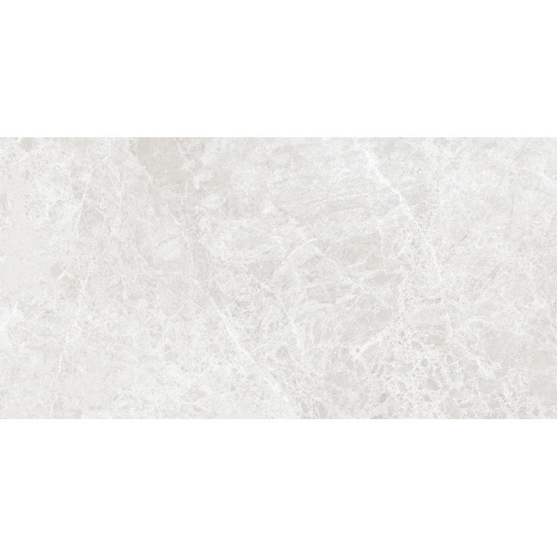 Mexen Lizard Ezüst, fényes, rektifikált mázas gres minta G1, padló-fali burkolólap 120 x 60 cm - TL109-03-S