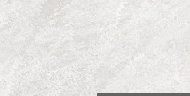 Mexen Lizard Argint eșantion de gresie glazurată rectificată. G1, placă de pardoseală și perete, lucioasă - TL109-03-S