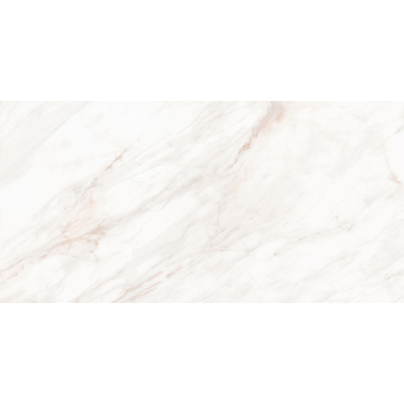 Mexen Forever Probă de gresie glazurată rectificată Gri G1, placă pardoseală-perete 120 x 60 cm, lucios - TL139-00-S