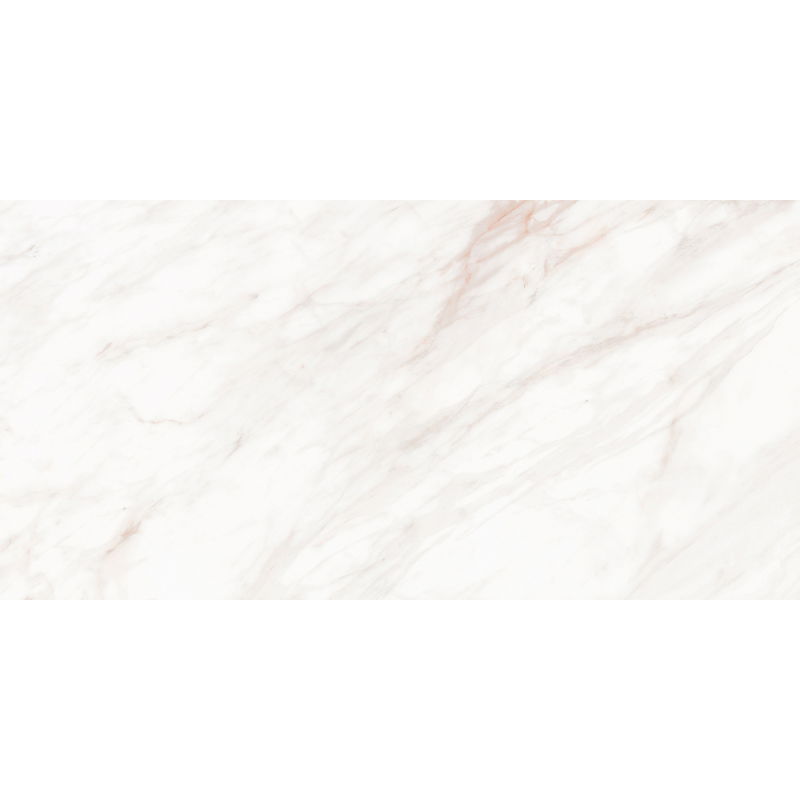 Mexen Forever Probă de gresie glazurată rectificată Gri G1, placă pardoseală-perete 120 x 60 cm, lucios - TL139-00-S