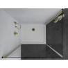 Mexen Pretoria Cabină de duș Duo cu uși batante 80 x 70 cm, transparentă, aurie + cădiță Flat - 852-080-070-50-02-4010G